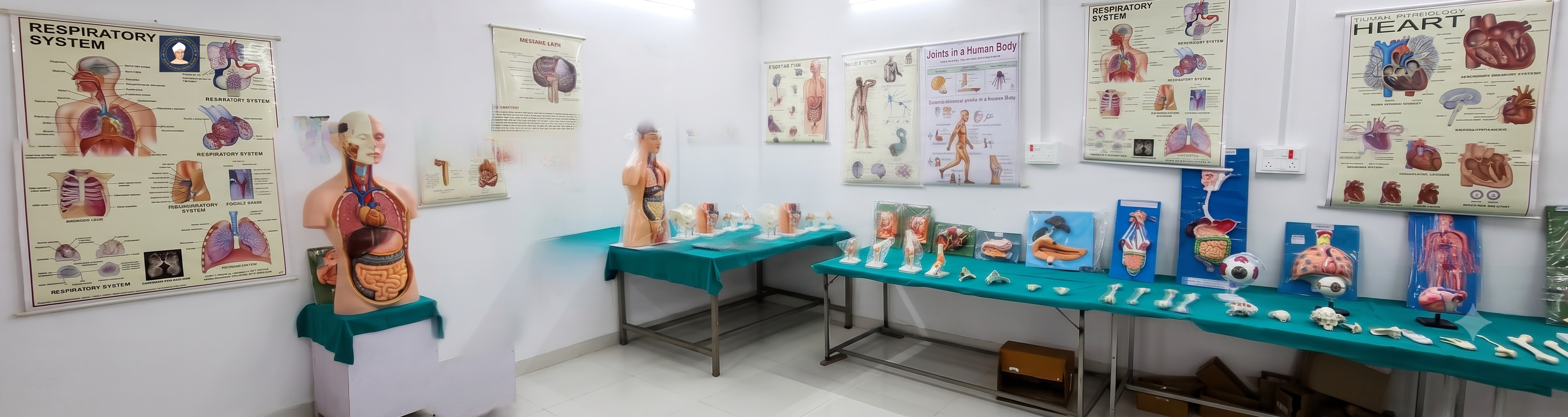 Anatomy Laboratory